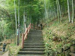 下山路-藏龙百瀑风景区