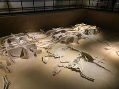 -洛阳周王城天子驾六博物馆