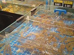 -闽海肴(北辰荟店)