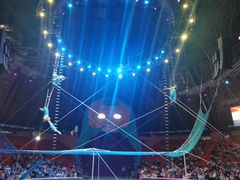 -俄罗斯国家大马戏团