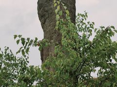 -磬锤峰森林公园