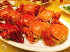 -鹿港小镇经典老上海菜(长乐路店)