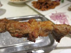 红柳枝羊肉串-阿拉丁新疆风味餐厅·清真(罗廊巷店)