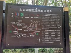 -重庆彩云湖湿地公园