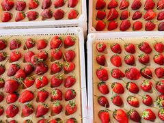 -南坛综合农贸市场