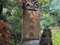 -青城山
