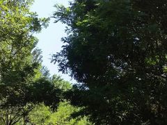-青城公园