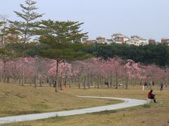 -风云岭森林公园