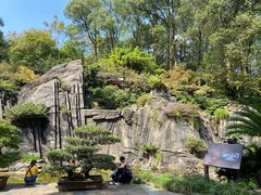 -南山植物园