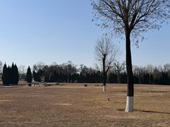 -汉长安城未央宫国家考古遗址公园