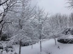 -白塘生态植物园