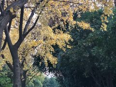 -上海市龙华烈士陵园