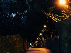-普陀山风景区-佛顶山