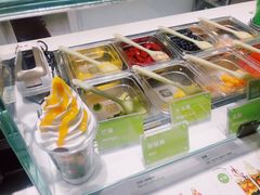 -Salud撒露欧洲冻酸奶(北苑上品店)