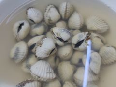 -老三鱼仔店