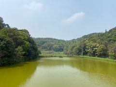 -李小龙乐园(顺德均安店)