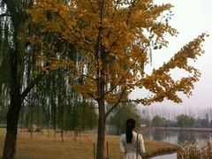 -祥源·阜阳生态乐园