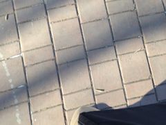 -吉林大学(前卫南区)