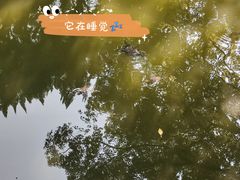 -南岳衡山风景名胜区-南岳大庙