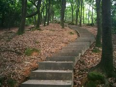 -火炉山森林公园
