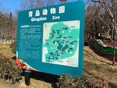-青岛动物园