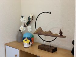 -颜和骨正·明哲式骨相美学整骨