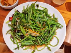 -菌自由丨野生菌火锅特色庭院餐厅(丽江古城店)