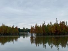 -白鹭湾湿地公园