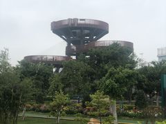 -芒洲湿地公园