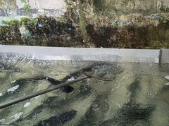 -姥家大锅台水库渔家