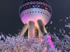 -东方明珠广播电视塔