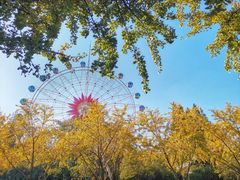 -赭山公园