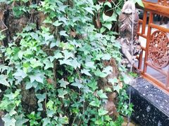 -华源足浴棋牌SPA