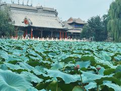 -莲池书院博物馆