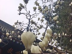 -万寿八仙宫