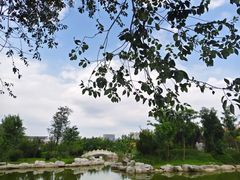 -绿岛公园(滨海新区)