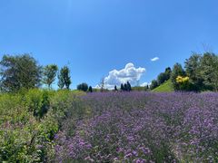 -新疆那拉提国家旅游度假区