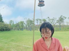 -春花秋色城市公园