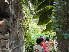 -国家植物园南园