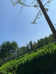 -HEYAN荷妍专业脱毛连锁机构