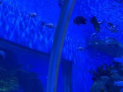 -石家庄极地海洋世界