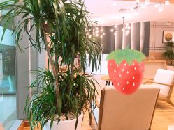 点击看大图 -尤尼可国际影像(万源分店)