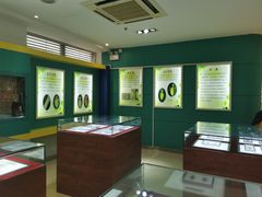 -上海昆虫博物馆