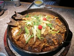 -老板恋上鱼(恒隆广场店)