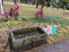 -海口火山口国家地质公园