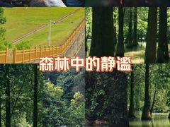 -广州市帽峰山景区