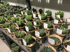 -鹿岛会员店 (龙湖三千集天街店)