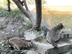 -宁波野生动物园