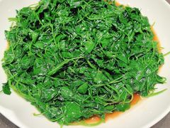 -望乡楼上海菜(陆家浜路店)