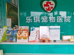 -乐琪宠物医院·犬猫专科·骨外科·急重症